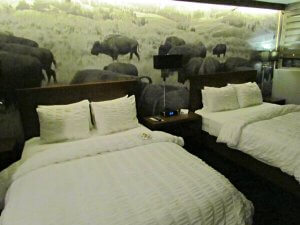 Stampeding buffalo mural on renovated 8th floor of Adoba Eco Hotel