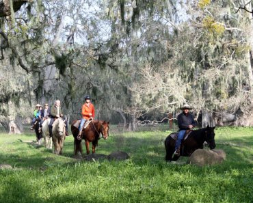 Giddy Up and Get to Alisal Guest Ranch and Resort