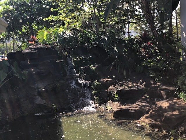 waterfall at hilton garden inn kauai