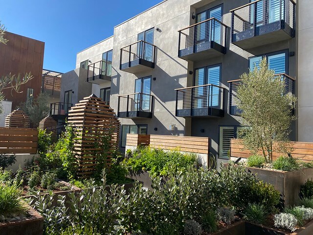 Hotel Cerro edible garden with hotel balconies in background.