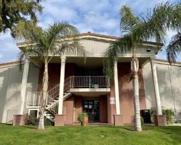 Best Western Hill House entrance with palm trees and grass