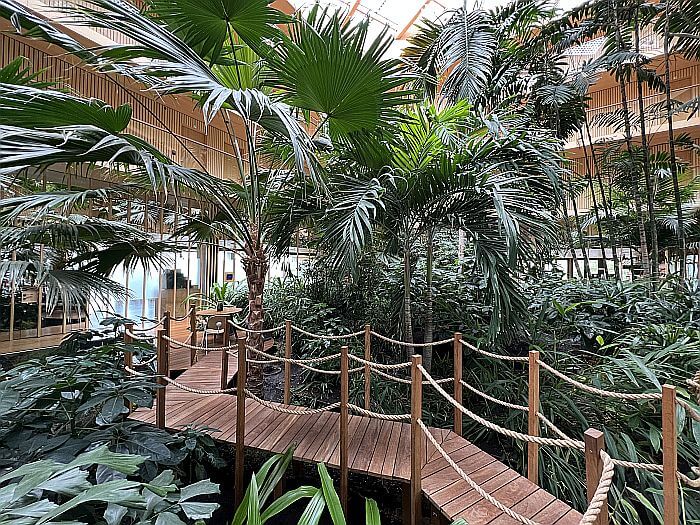 Palm trees inside Hotel Jakarta Amsterdam