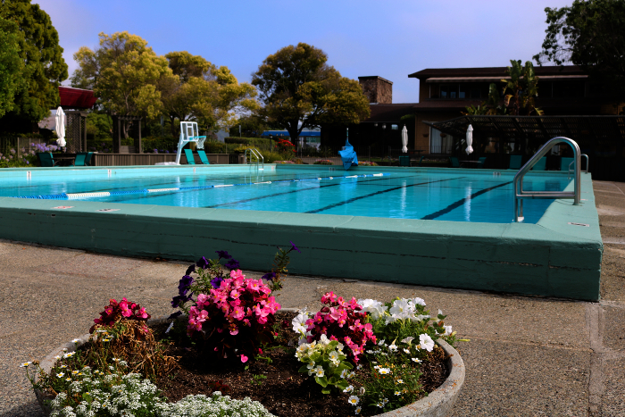Best Western Corte Madera Inn Swimming pool
