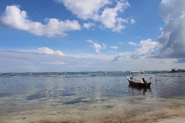 Hotel Noah, Excellence in Mahahual, Mexico