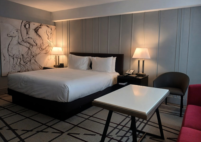 Hyatt Regency Louisville Guest Room with contemporary line drawing artwork of horses