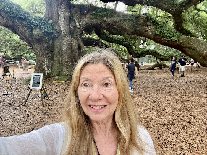 Angel Oak on John's Island.