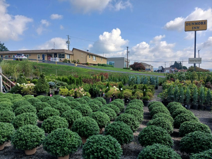 Dunmore Inn with Bud Schultz Garden Center Scranton, PA