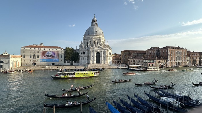 View of Santa Maria della Salute from the St. Regis Venice